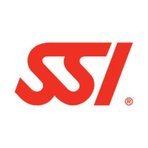 SSI 产品图 1