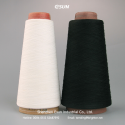 Shenzhen Esun Industrial Co., Ltd. - 2