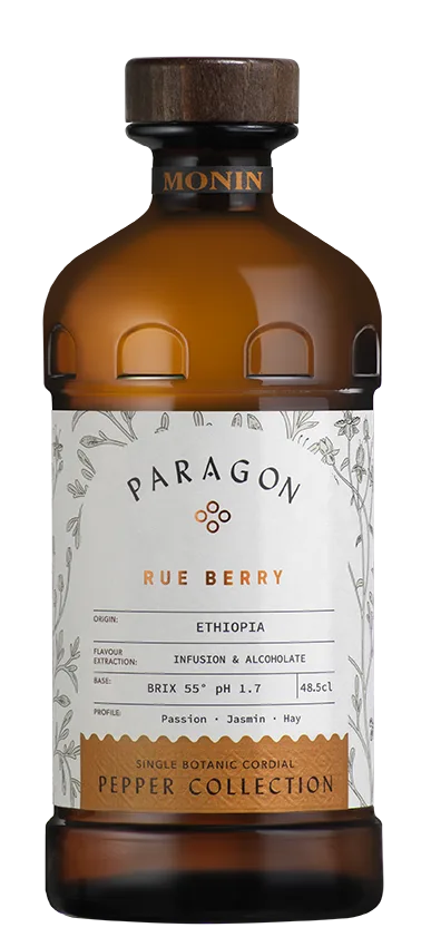 Paragon 产品图 4