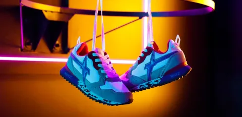 W6YZ product image 1