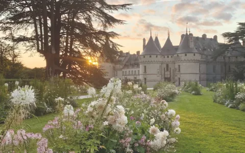 Domaine de Chaumont-sur-Loire Hôtel Le Bois des chambres 产品图 2