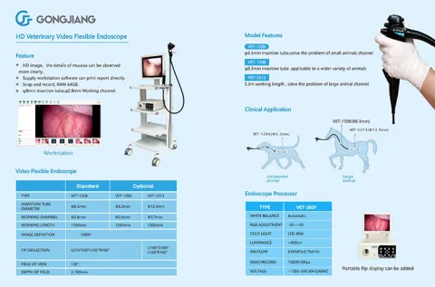 GONGJIANG ENDOSCOPY INSTRUMENTS CO.,LTD product image 3
