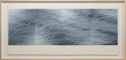 Pigment Gallery 产品图 1