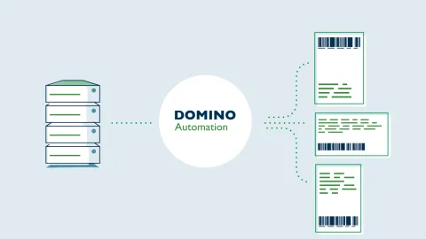 Domino product image 3