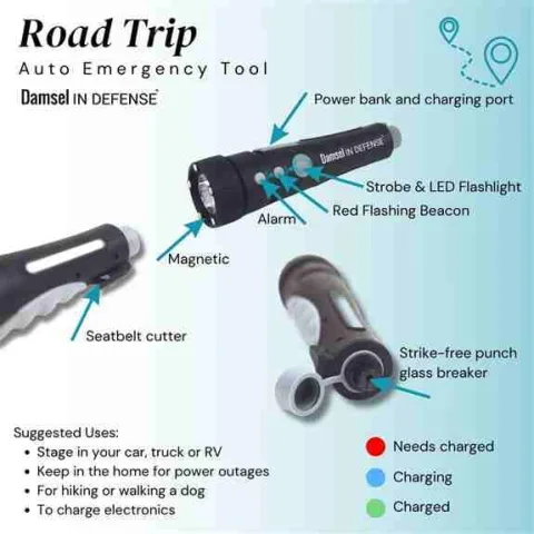 Damsel in Defense product image 2