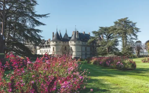 Domaine de Chaumont-sur-Loire Hôtel Le Bois des chambres 产品图 1