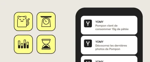 YOPI SAS product image 2