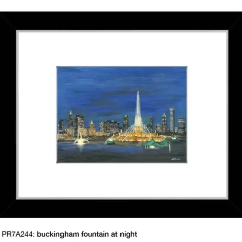 Printed Canvas 产品图 4