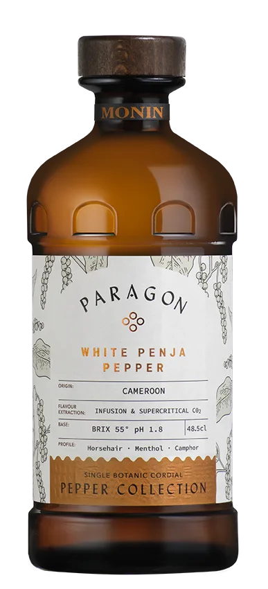 Paragon 产品图 1