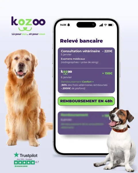 KOZOO 产品图 1