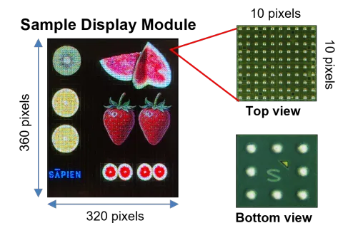 SAPIEN Semiconductors product image 4