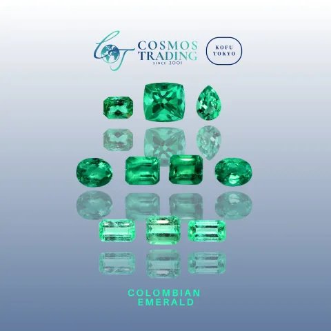 Cosmos Trading Company product image 1