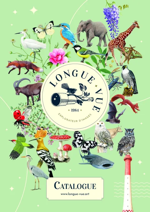 Longue-vue product image 1
