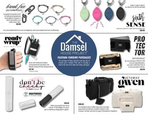 Damsel in Defense product image 1