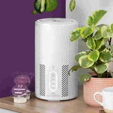 Scentsy product image 3