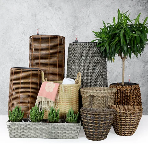 NGOI SAO DAT VIET TRADING – PRODUCTION CORPORATION product image 4