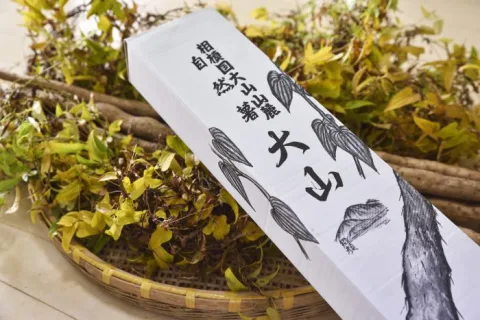 伊勢原市商工会 product image 2