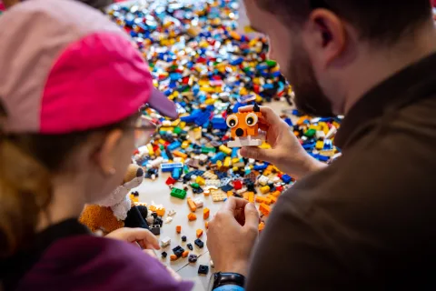 Učení hrou s kostičkami LEGO®: Postav si svého mazlíčka a jeho habitat 产品图 1