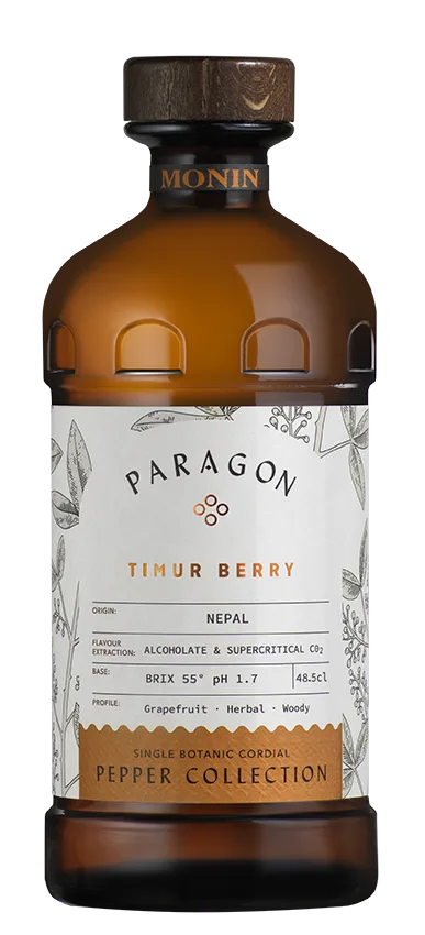 Paragon 产品图 3
