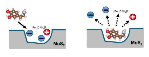 HOKKAIDO UNIVERSITY product image 4