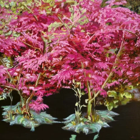 2L product image 1