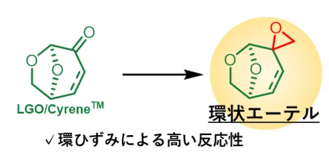 HOKKAIDO UNIVERSITY product image 3