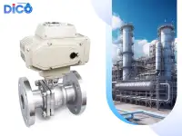 Zhejiang DICO Valve Co., Ltd. - 2
