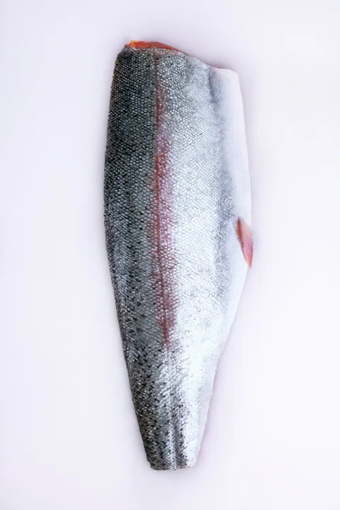 新疆天蕴有机农业有限公司 product image 2