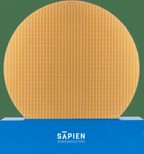 SAPIEN Semiconductors product image 1