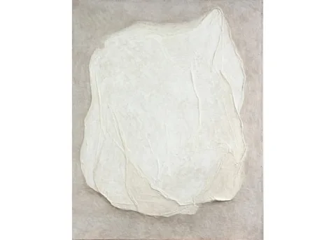 AC LATIN ART 产品图 2