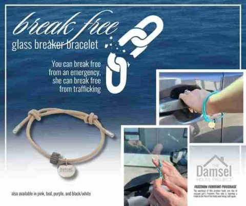 Damsel in Defense product image 3
