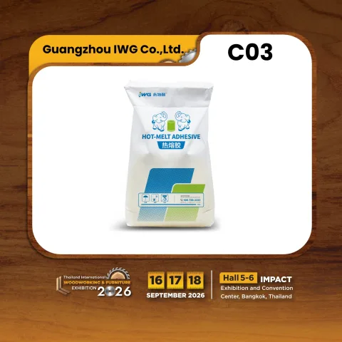 Guangzhou IWG Co., Ltd. 产品图 2