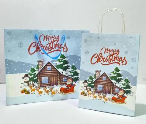 Asia Paper Bag Co., Ltd. 产品图 1