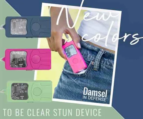 Damsel in Defense product image 4