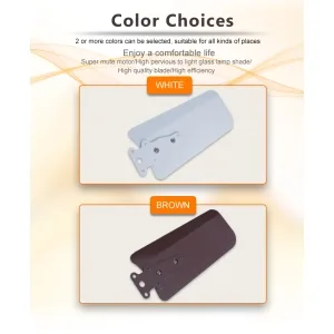 Foshan Windfeel Electrical Appliances Co., Ltd product image 2