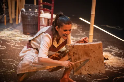 Inspira Teatre 产品图 3