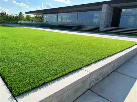 AGL Grass Ottawa product image 2