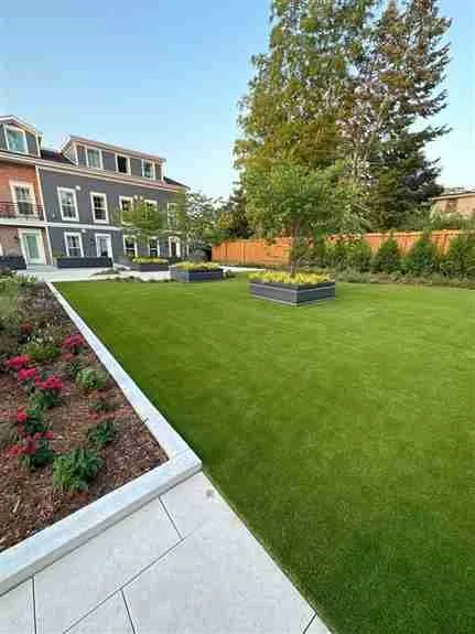 AGL Grass Ottawa product image 4