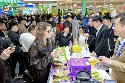 展会现场 2
