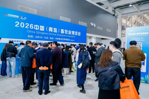 展会现场 8