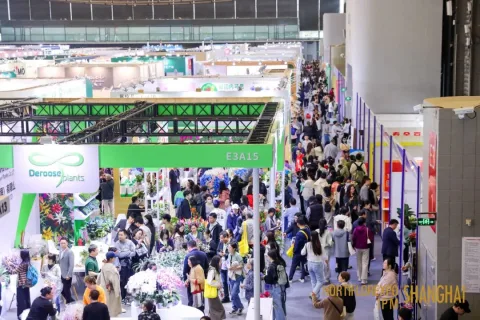 展会现场 2