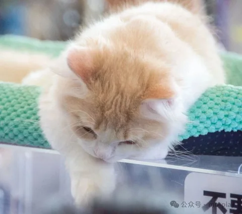 展会现场 1