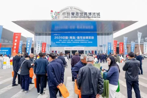展会现场 6