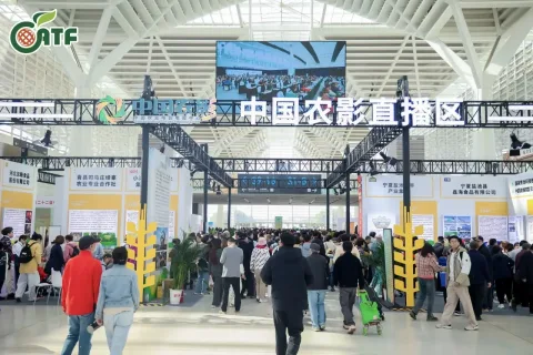 展会现场 4