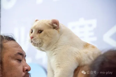 展会现场 5
