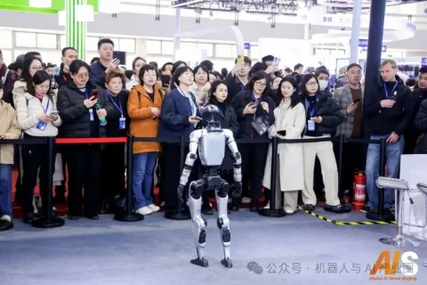 展会现场 4