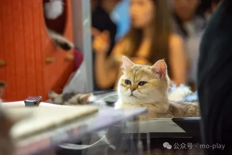 展会现场 8