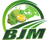 BJM-Plouteo Agricultural Export Trading